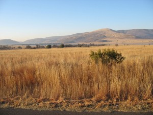 botswanaoutback-firstbaptistnashville צילום: FirstBaptistNashville