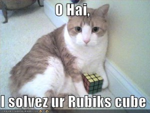 rubikzcat צילום: I Can Haz Cheezeburger
