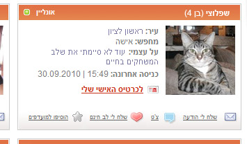 lovemeowt כרטיסיה של אחד החתולים באתר. צילום מסך: LoveMeow